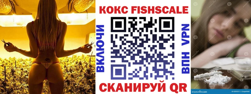 OMG tor  Облучье  Cocaine 99% 
