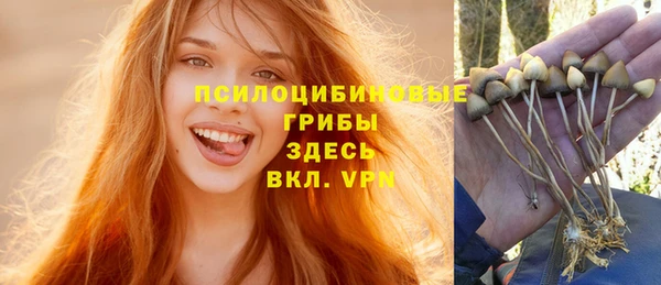 спиды Балабаново