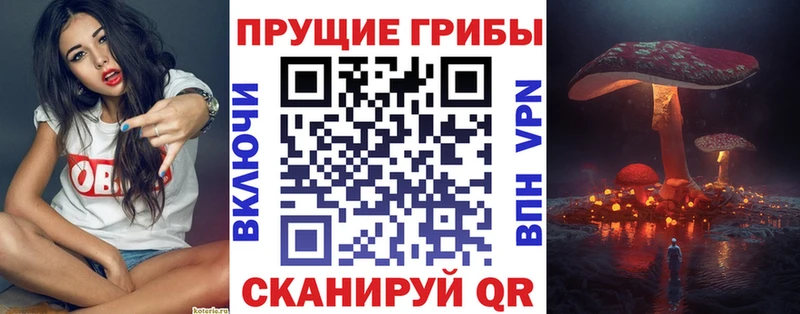 Псилоцибиновые грибы MAGIC MUSHROOMS  Облучье 